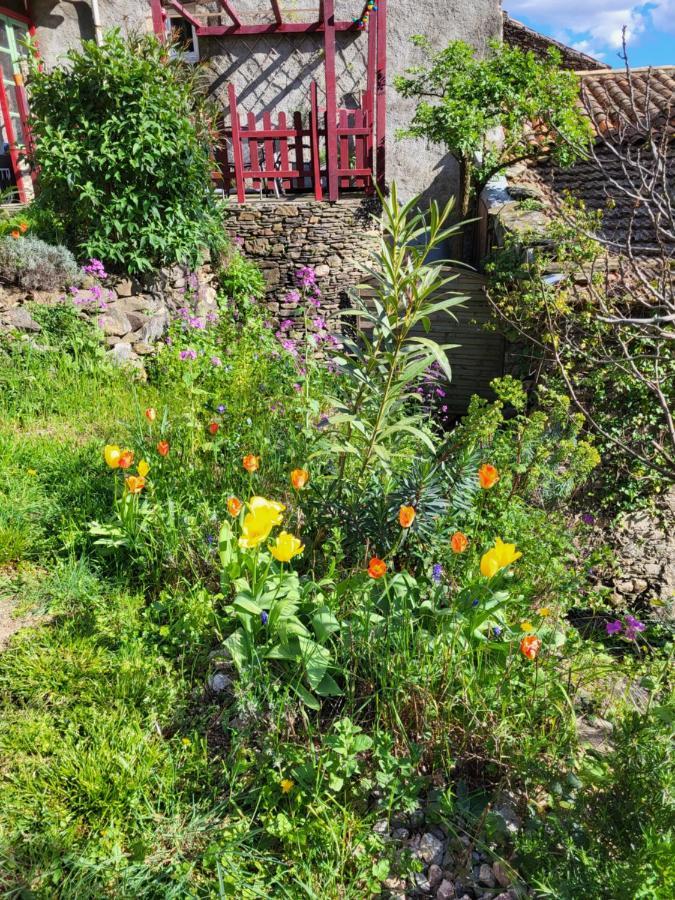 Gites Chez Daniel "Cevennes 1" Mars  Екстер'єр фото