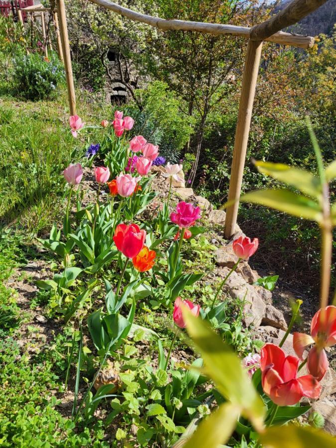 Gites Chez Daniel "Cevennes 1" Mars  Екстер'єр фото