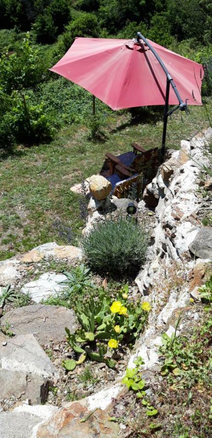 Gites Chez Daniel "Cevennes 1" Mars  Екстер'єр фото