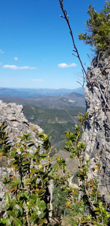 Gites Chez Daniel "Cevennes 1" Mars  Екстер'єр фото