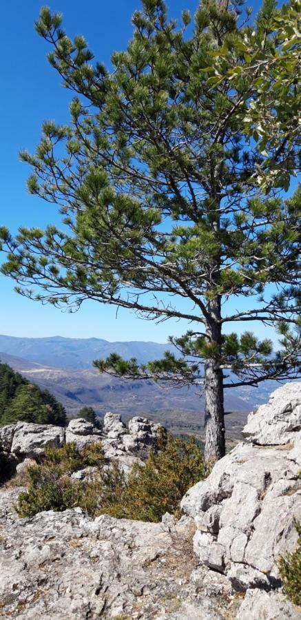 Gites Chez Daniel "Cevennes 1" Mars  Екстер'єр фото